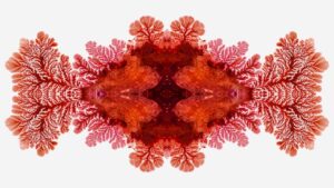 Beneath the Blood-Red Sky Lies a Truth No One Dares to Uncover